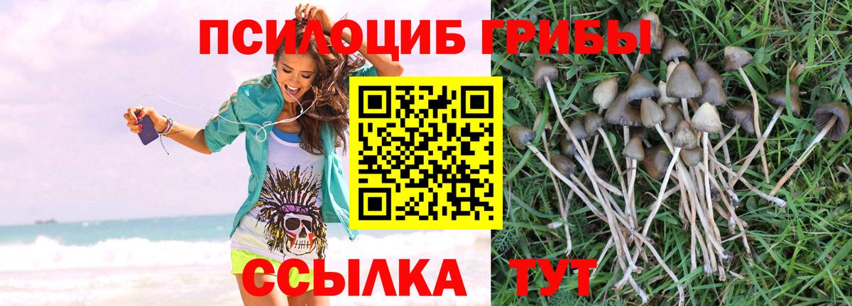 Галлюциногенные грибы ЛСД Кунгур